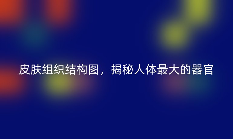 皮膚組織結(jié)構(gòu)圖，揭秘人體最大的器官