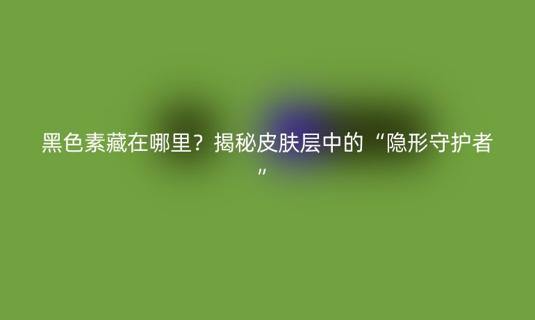 黑色素藏在哪里？揭秘皮膚層中的“隱形守護者”